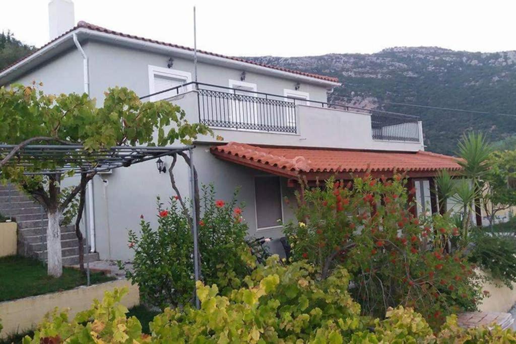 Apartment With Private Pool For Rent In Tzanata Kefalonia Dhimisianáta Eksteriør bilde