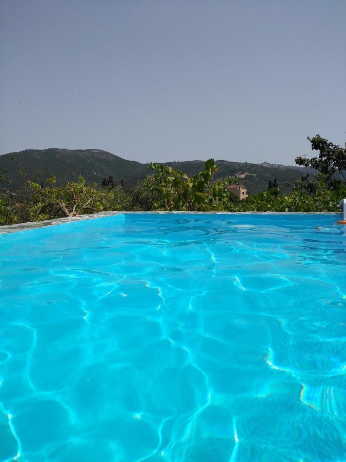 Apartment With Private Pool For Rent In Tzanata Kefalonia Dhimisianáta Eksteriør bilde